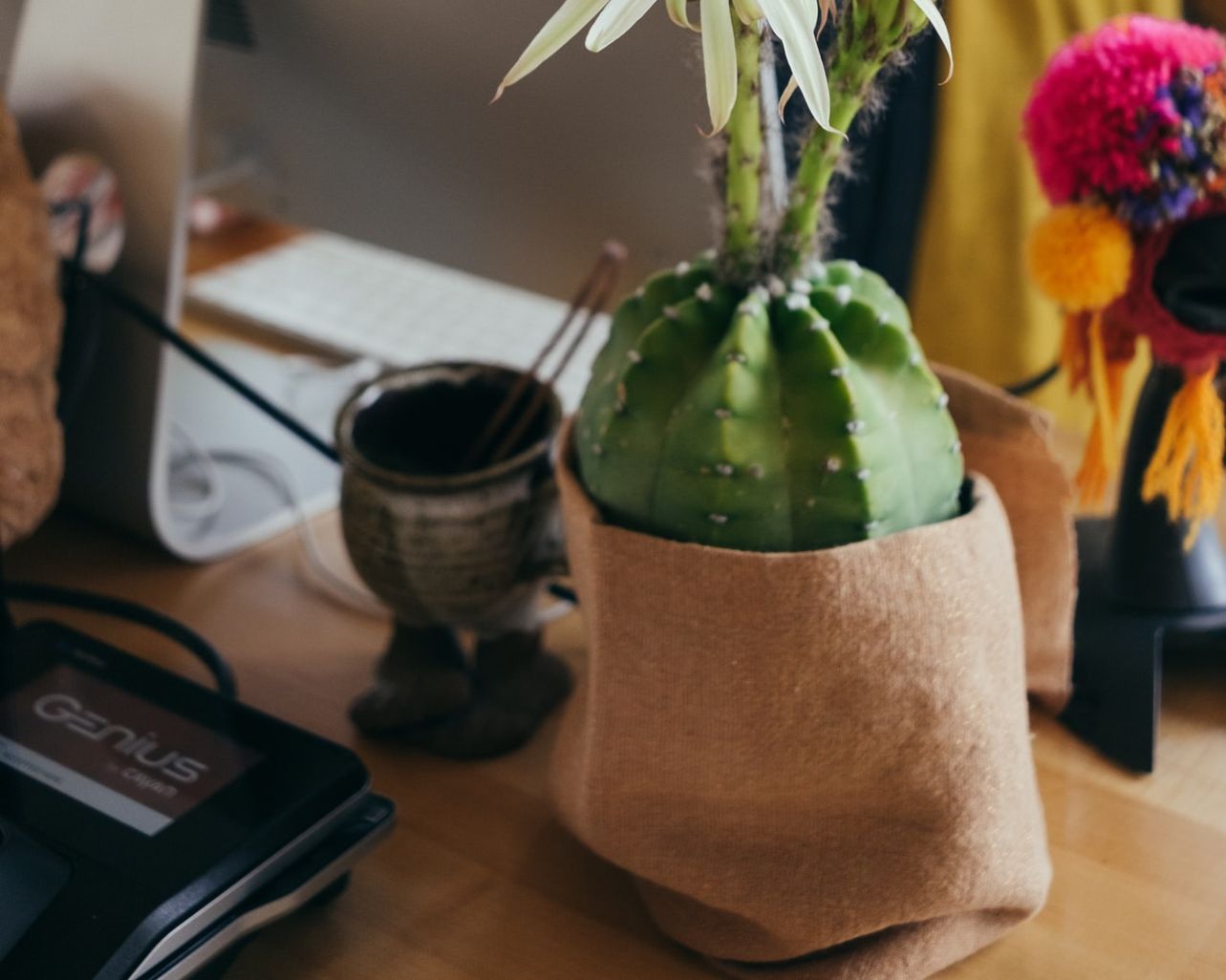 Aut illo facere facere sunt.