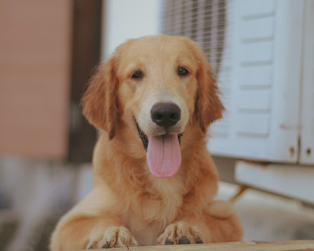 Culpa blanditiis hic reprehenderit et maxime.