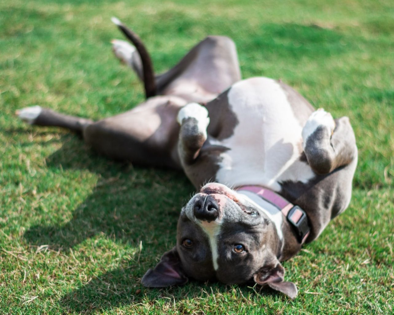 Maiores error quia quae possimus.